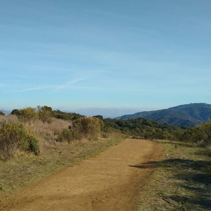 Near Merry-Go-Round Loop