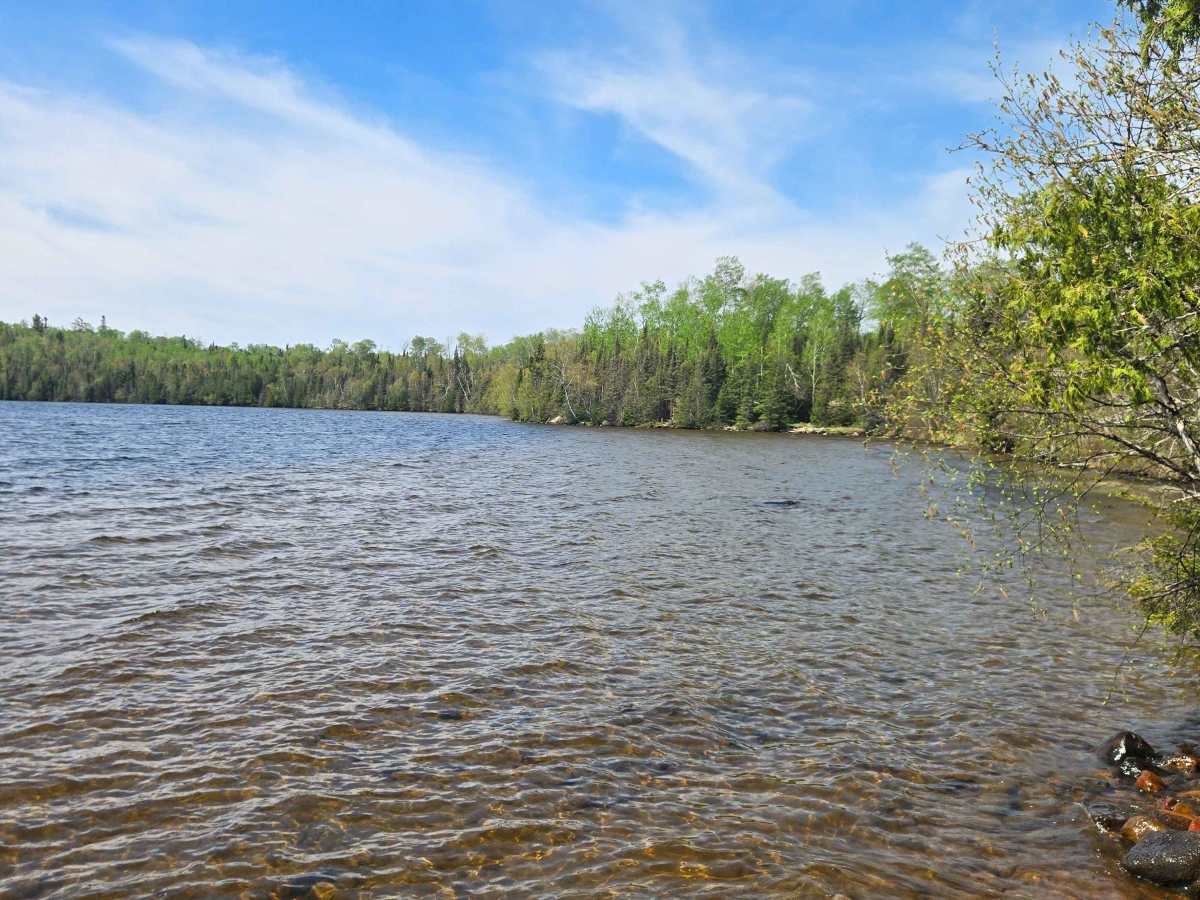 Whitefish Lake Trail photo 3