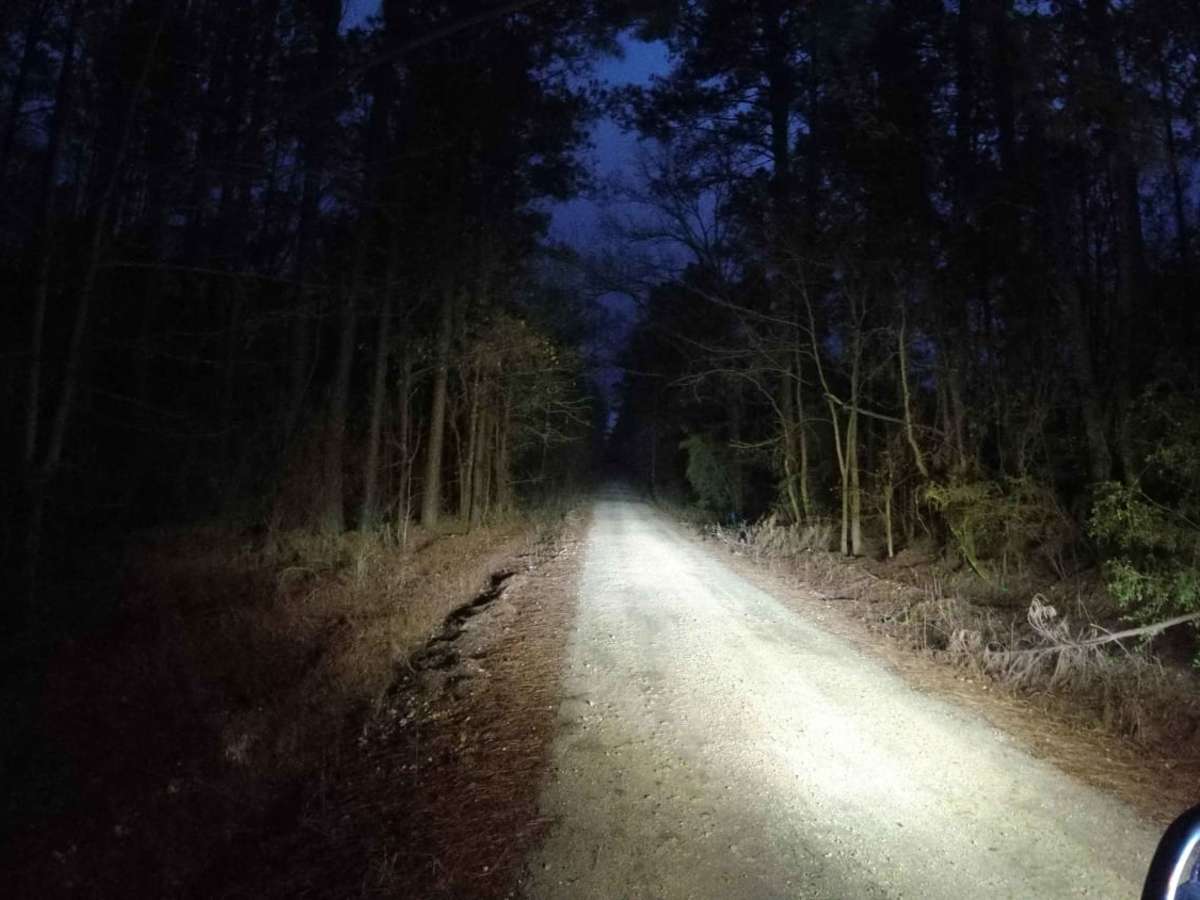 Davy Crockett National Forest Route photo 4