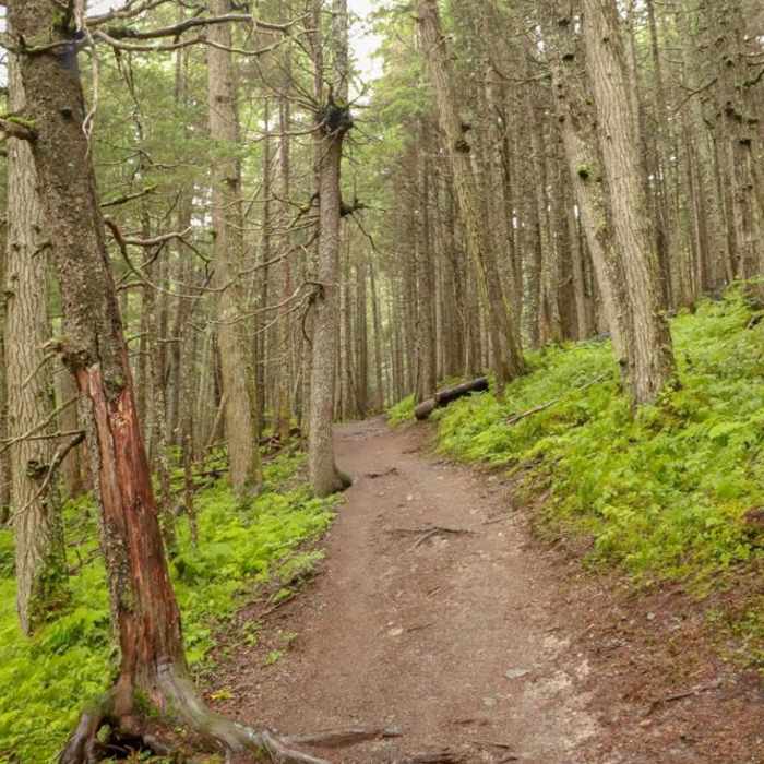 Near Winner Creek Trail