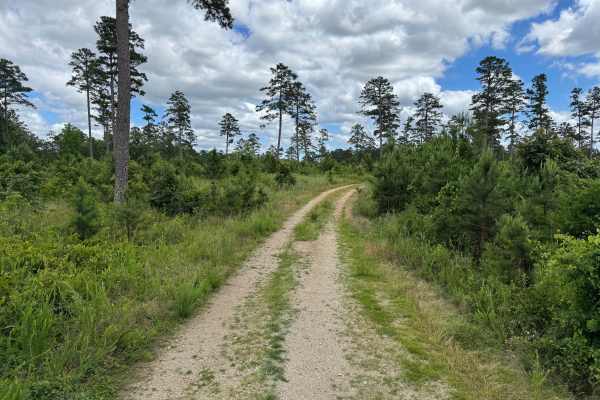 Mauldin Spur