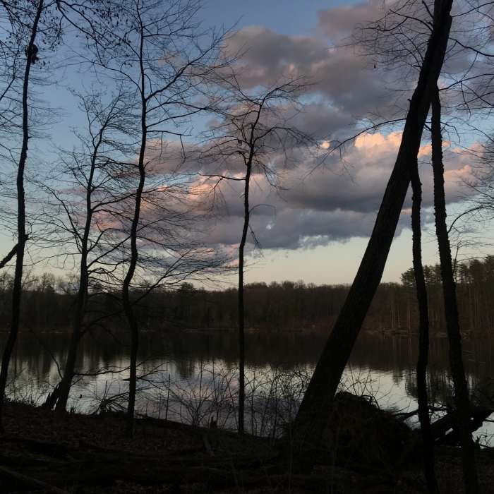 Near Towner's Woods Scenic Loop