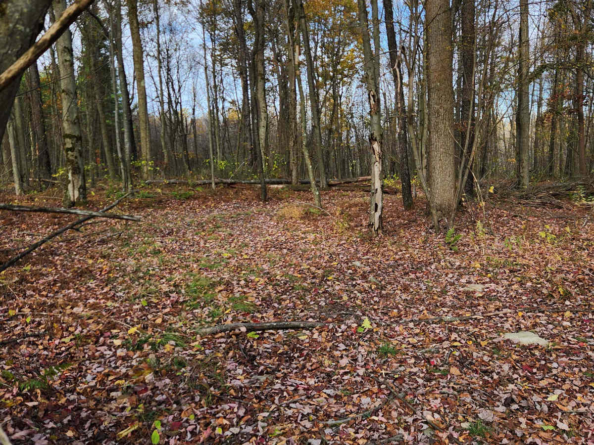 OHV 8 - Rock Run Recreation Area photo 5