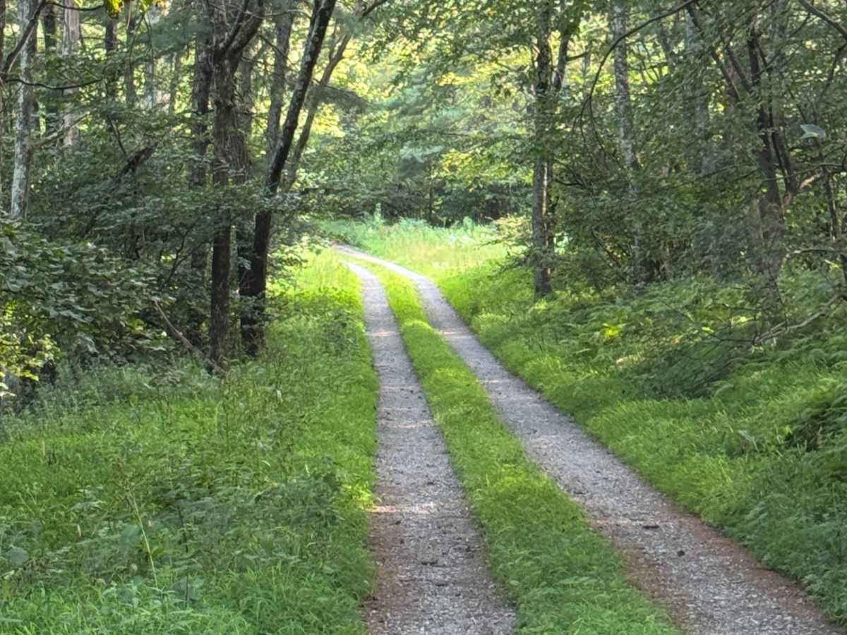 McKees Run Road photo 3