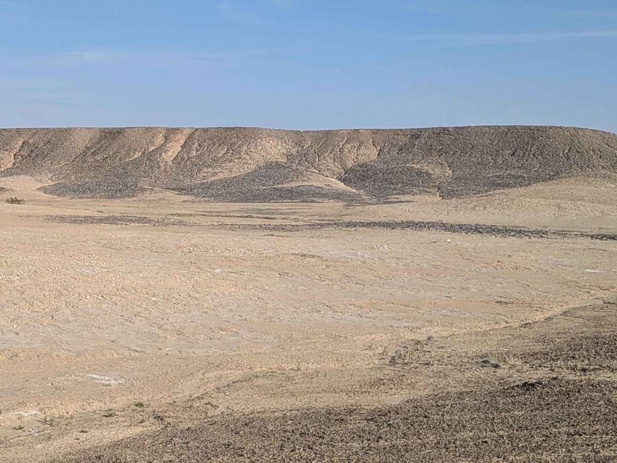 BLM 236 photo 3