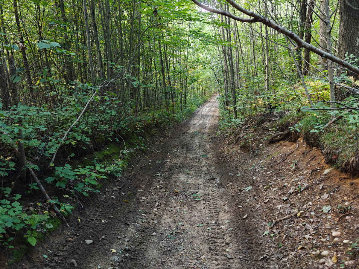 West Greenwood Trail photo 4