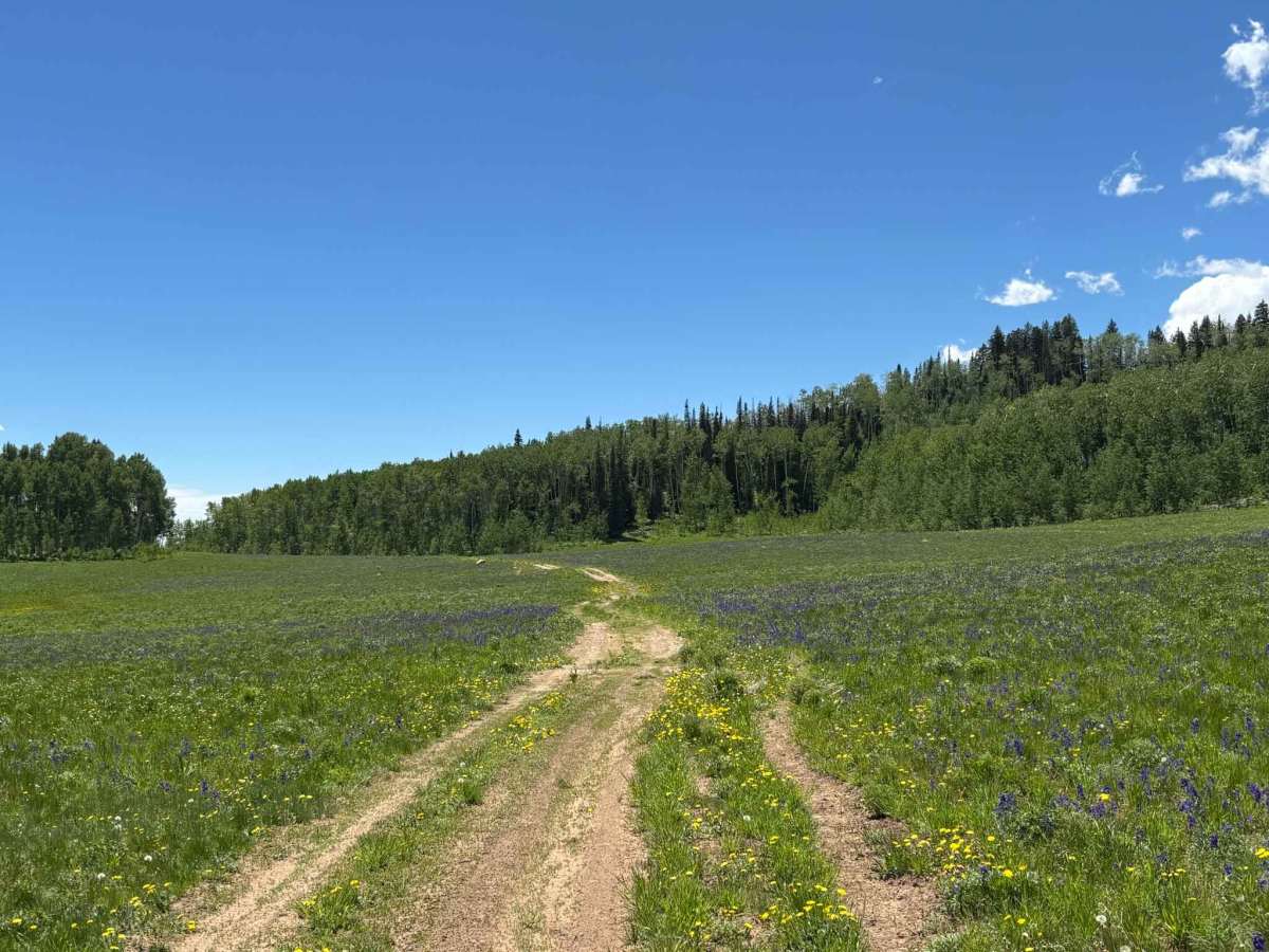 Buttermilk Road photo 4