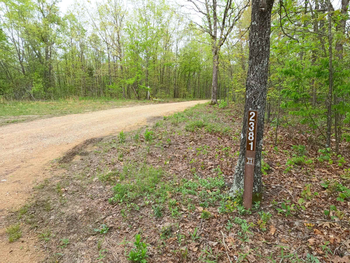 Old Mill - FS 2381 trail photo