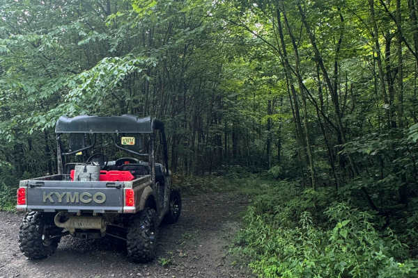Trail 51