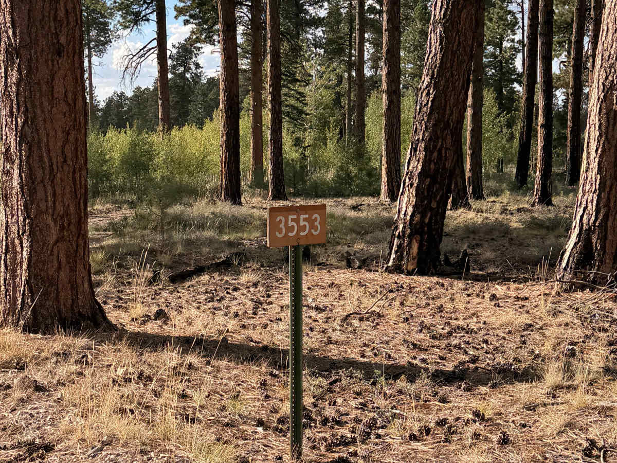 FS 3553 trail photo