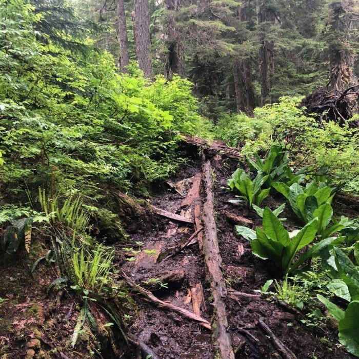 Pretty par for the course on this trail Near Dingford Creek Trail