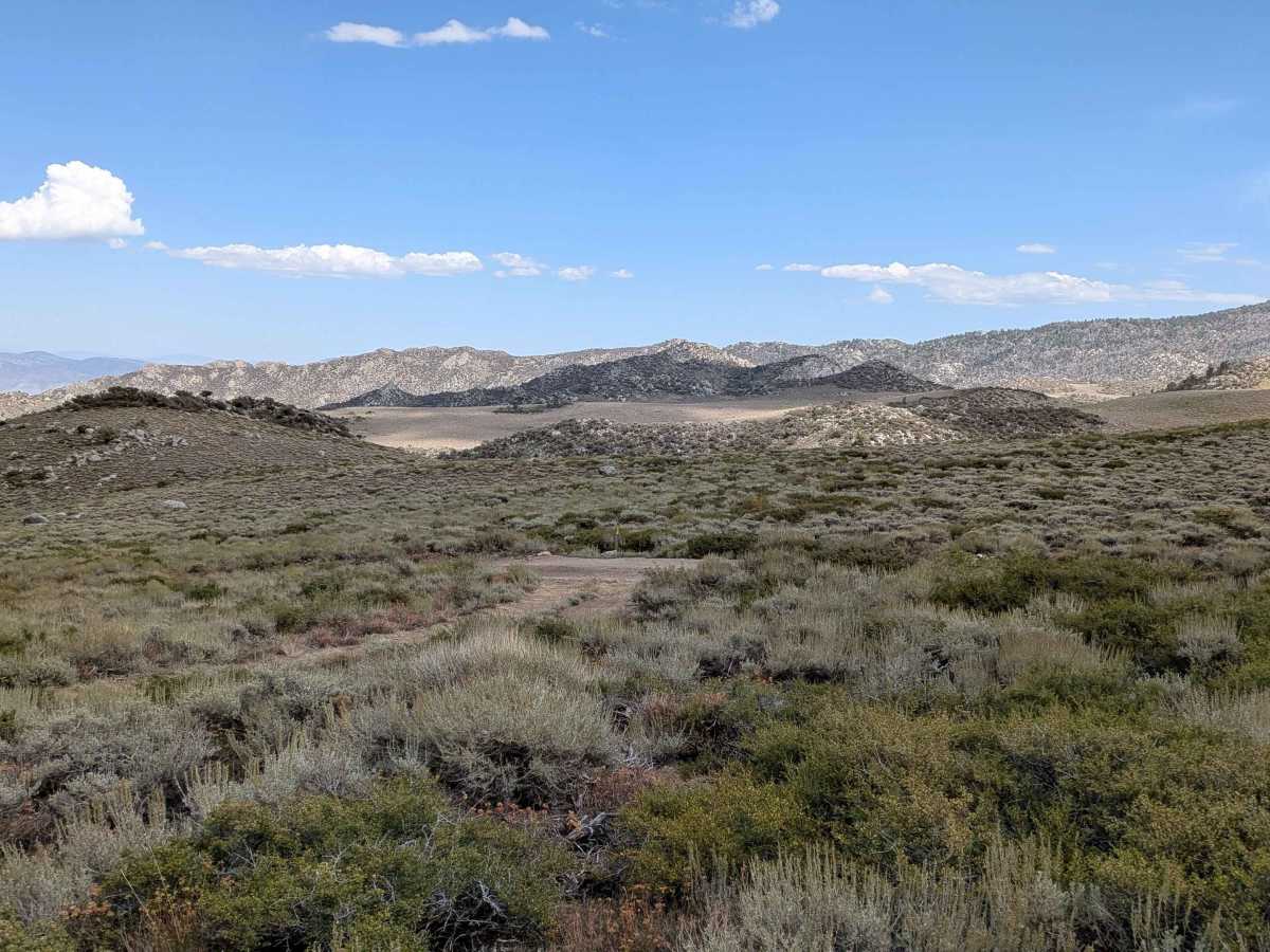 FS 32E307 trail photo