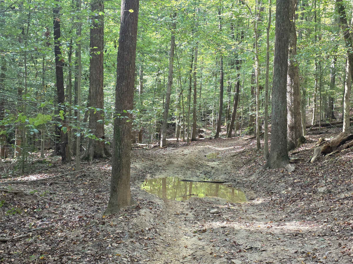 Hardwood Hollow photo 3