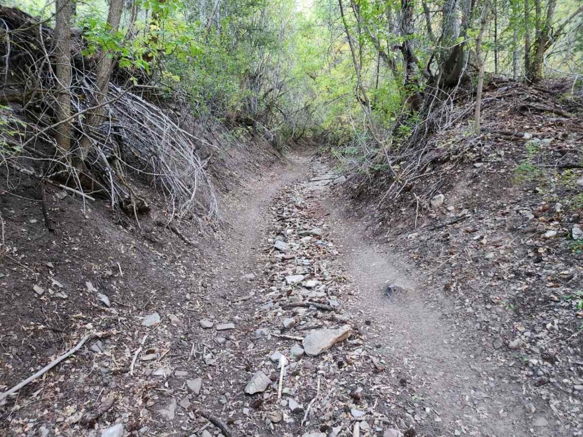 Box Elder Canyon South photo 5