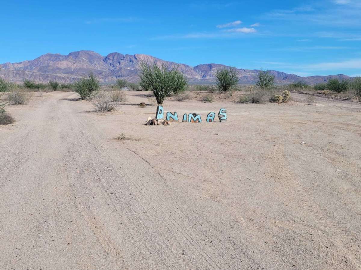 Bahia de las Animas photo 4