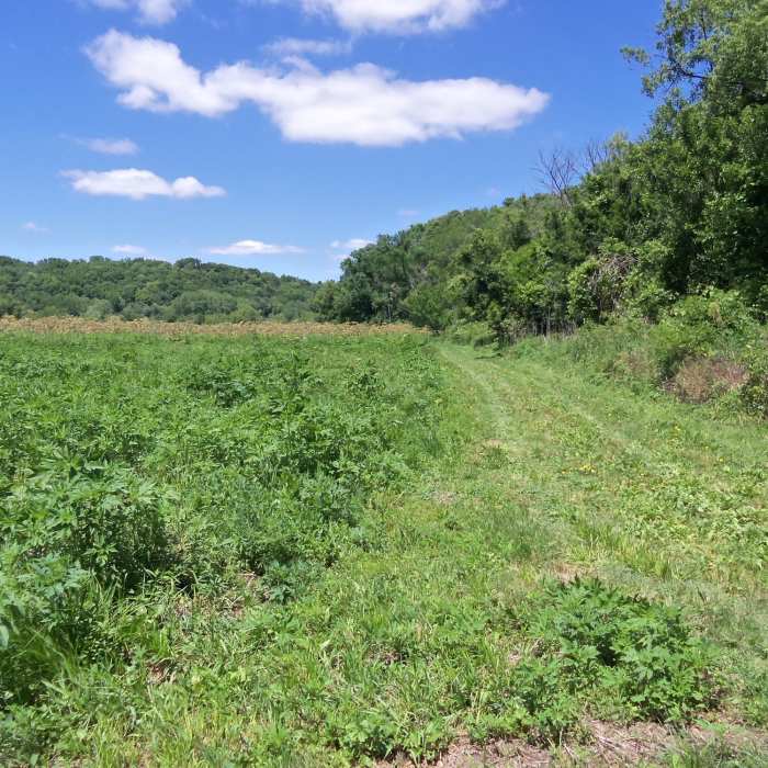 Near Galena River Trail - Buehler Segment