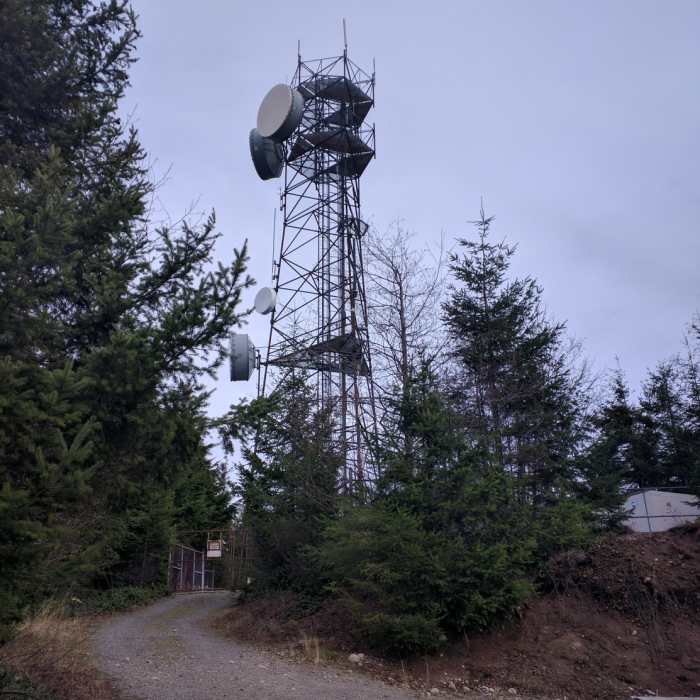 Near Tiger Mountain Road 5500