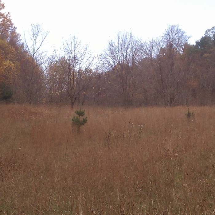 Near Bottoms Creek Gorge