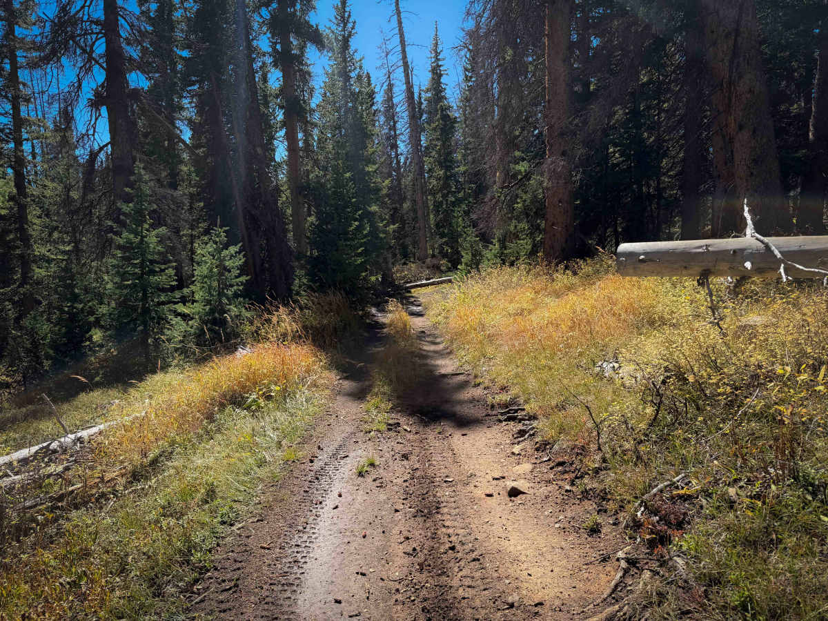 Willow Creek Trail - FS 479  photo 3