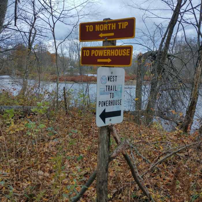 Near Sugar Island Loop
