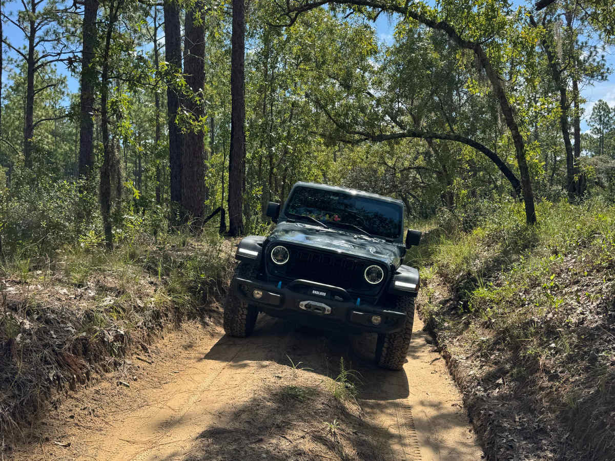 Trail 6 - Citrus WMA photo 3