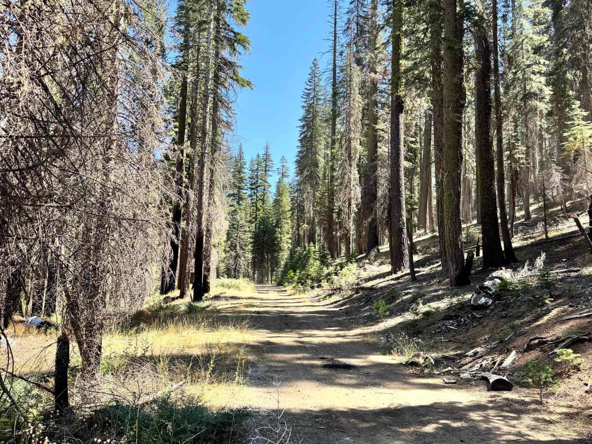Upper Camp Cr - FS 10N47 photo 5