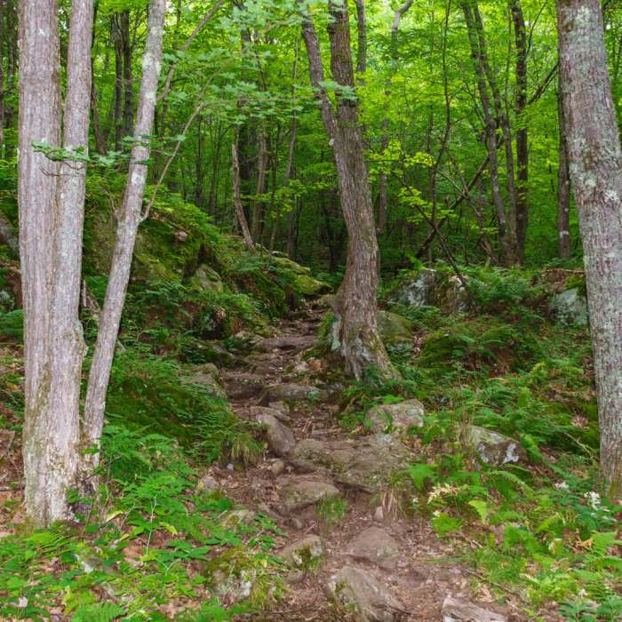 Near Smarts Mountain Near Smarts Mountain