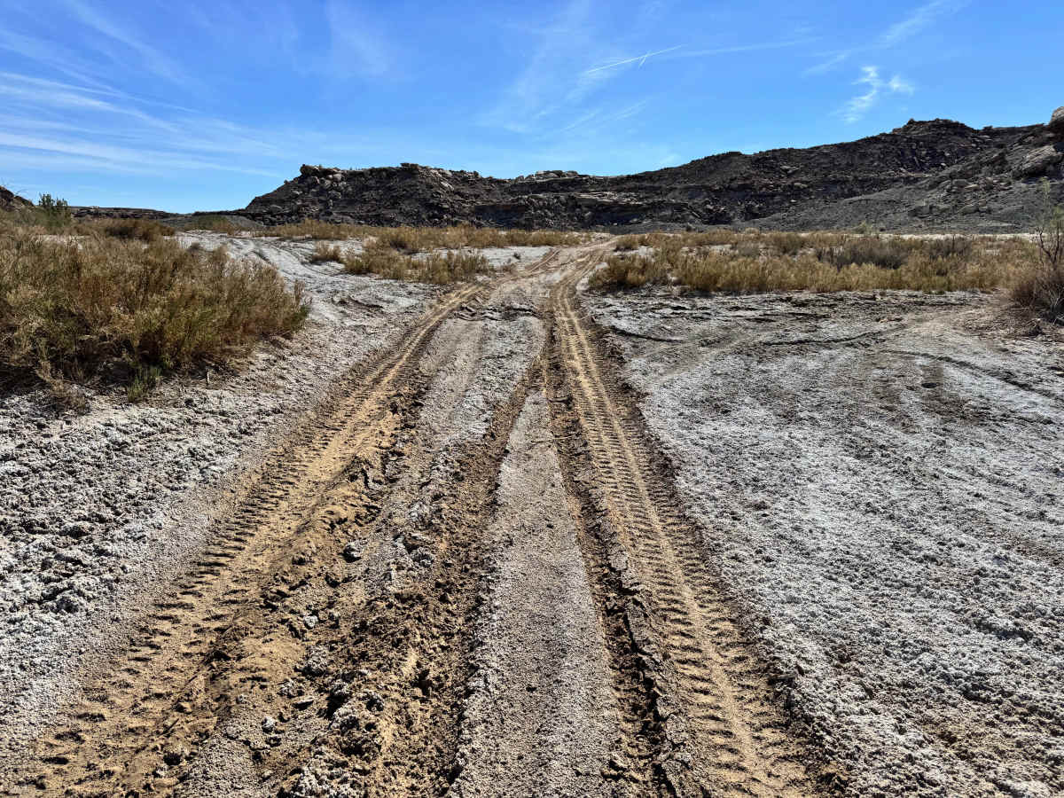 Lower Salt Wash photo 3