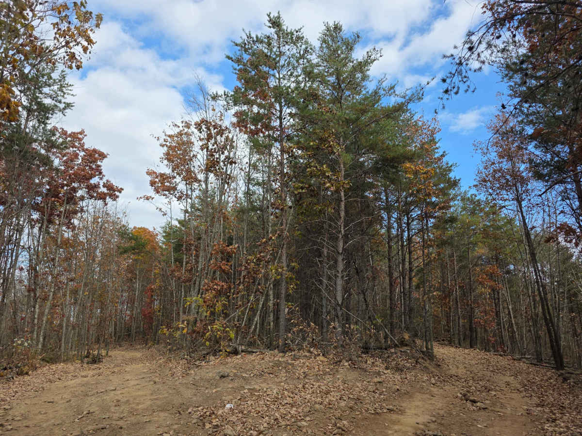 Ridgeside trail photo