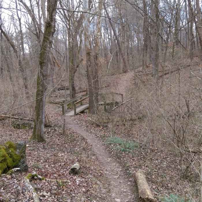 Near Sun and Shade Loop