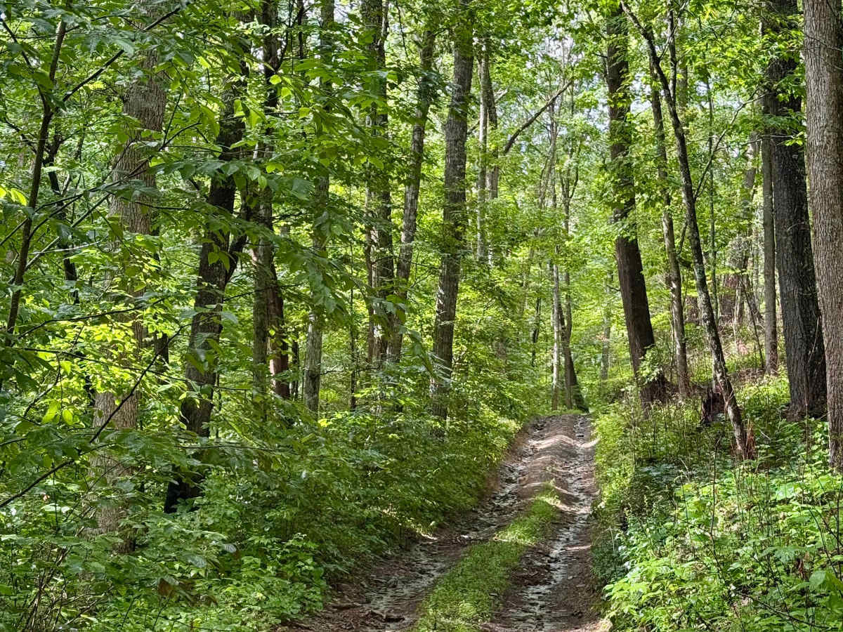 Beaver Creek Road - CR 21 photo 3