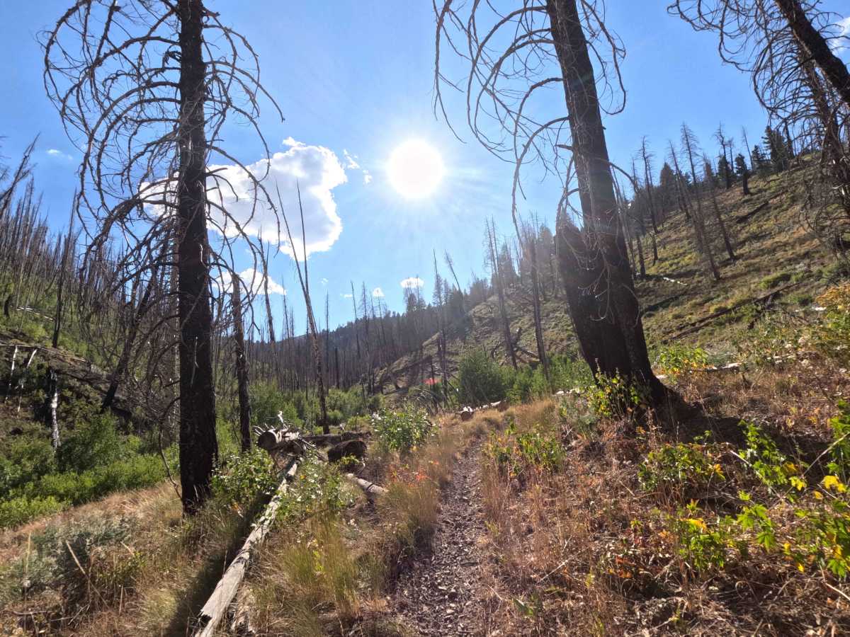 Middle Fork Warm Springs - FS 7150 photo 6