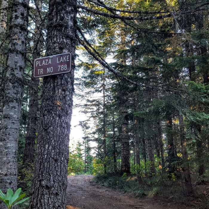 The Plaza Lake Trailhead off Abbot Road (Forest Road 4610) is easy to spot. Photo by Cameron Brown. Near Plaza Lake Trail #788