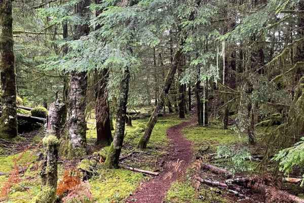 Old Track