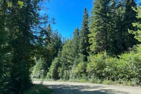 Barriere Lake Road