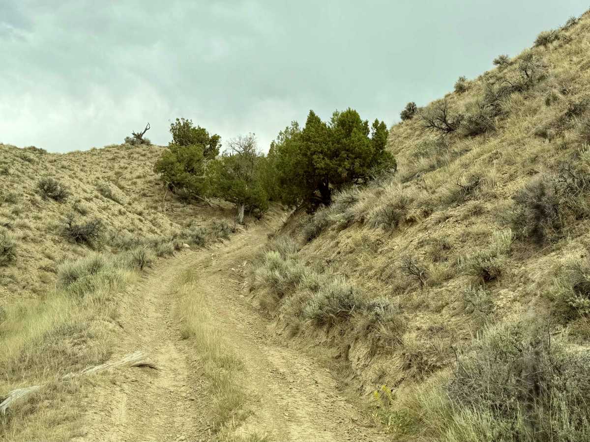 Widow Maker Road photo 5