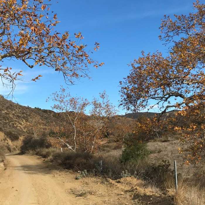 Near Beek's Place via Black Star Falls