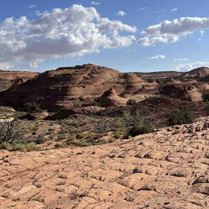 Near Upper Dry Fork Loop