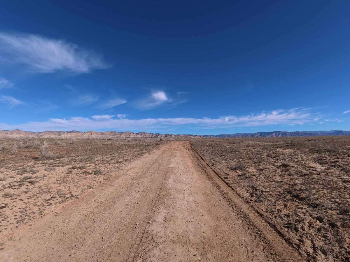 BLM 123 photo 4