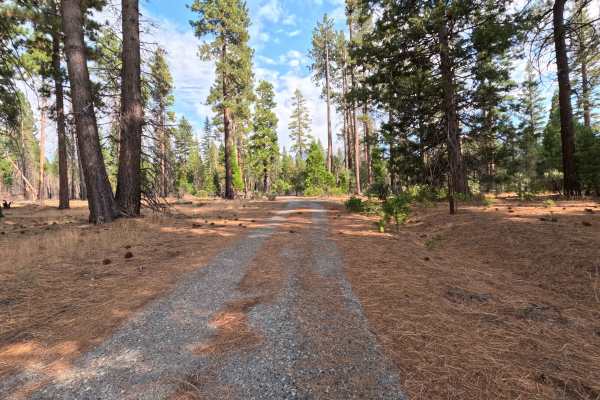 Kaiser Creek - FS 6S027