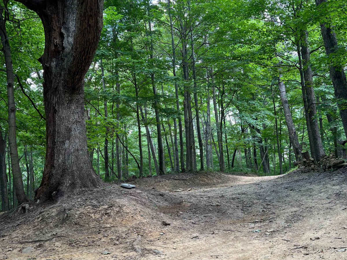 Potter's Hollow trail photo