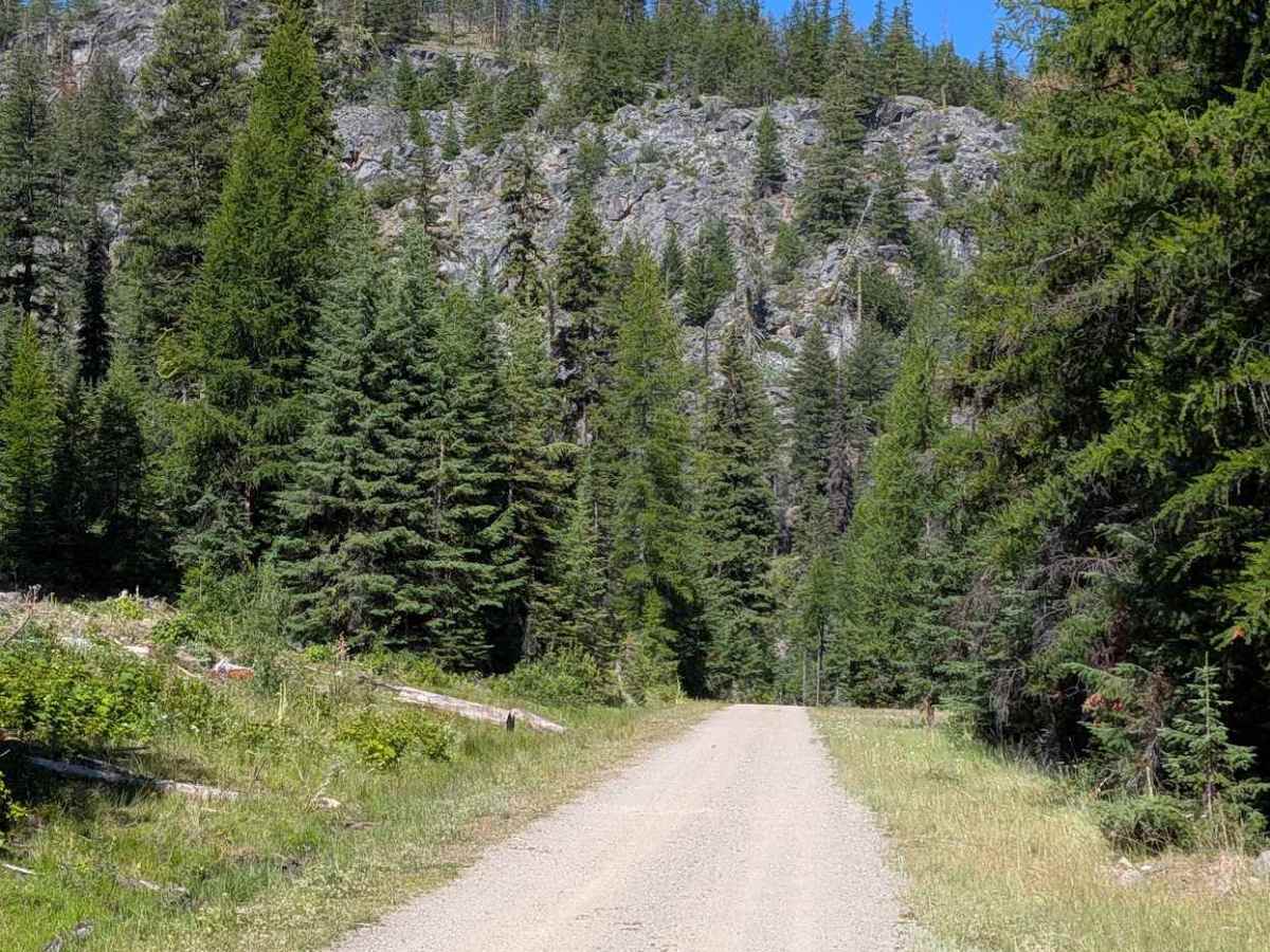 Bald Butte Rd trail photo