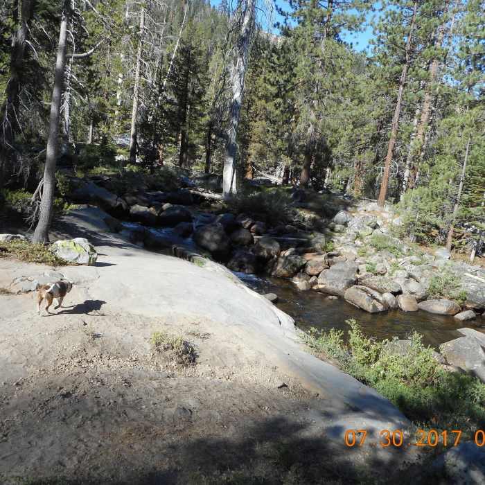 Many spots to sit and enjoy the scenery. Near Indian Pools Trail