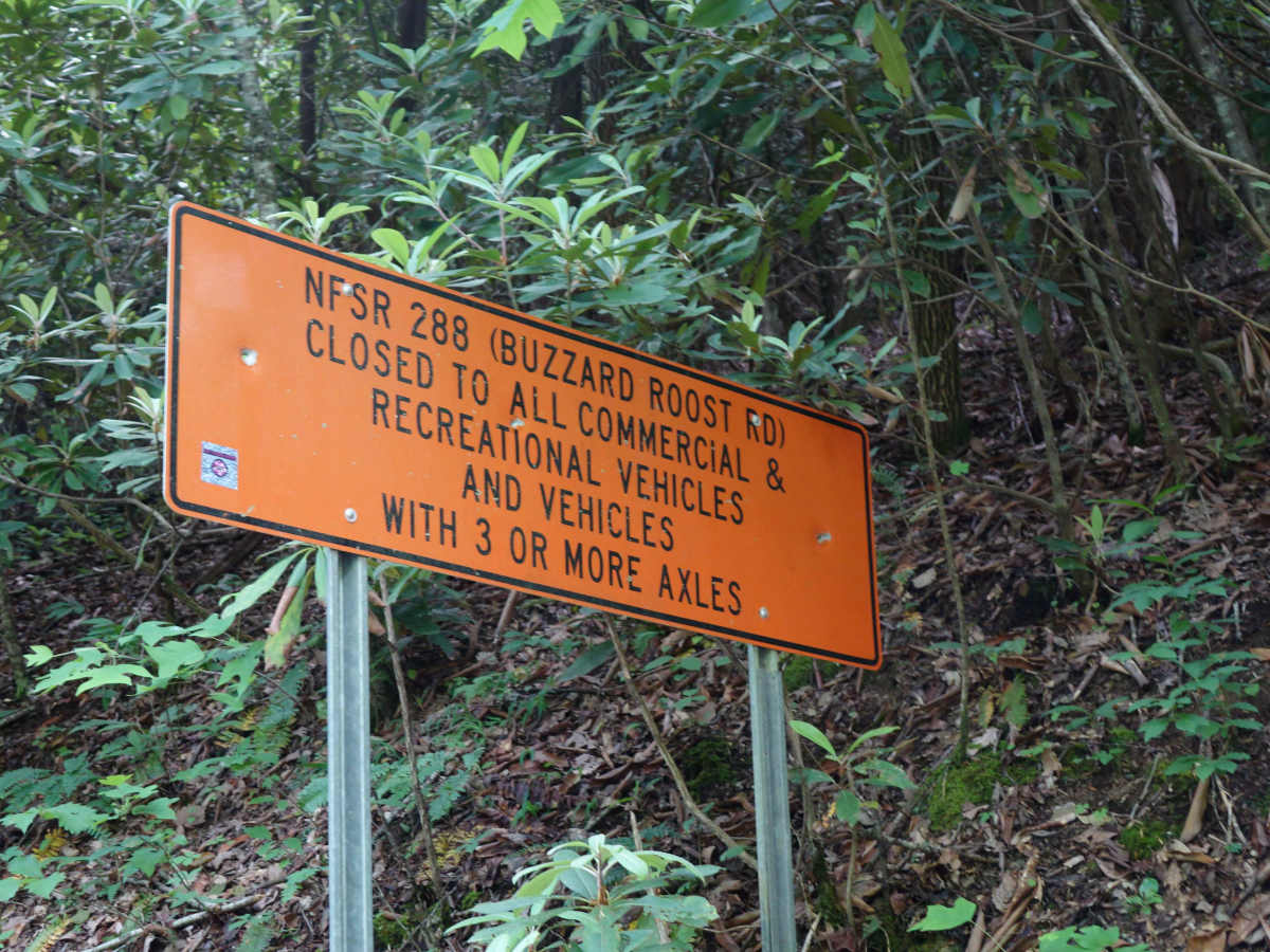 Buzzard Roost Road photo 5