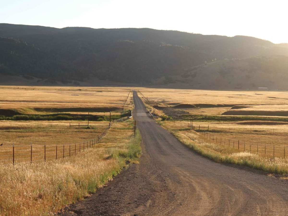 Bear Valley Road Trail photo 3