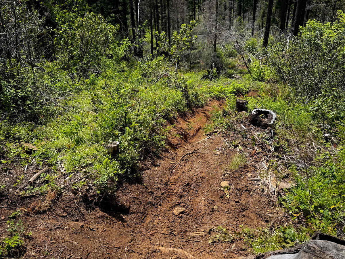 109 trail photo