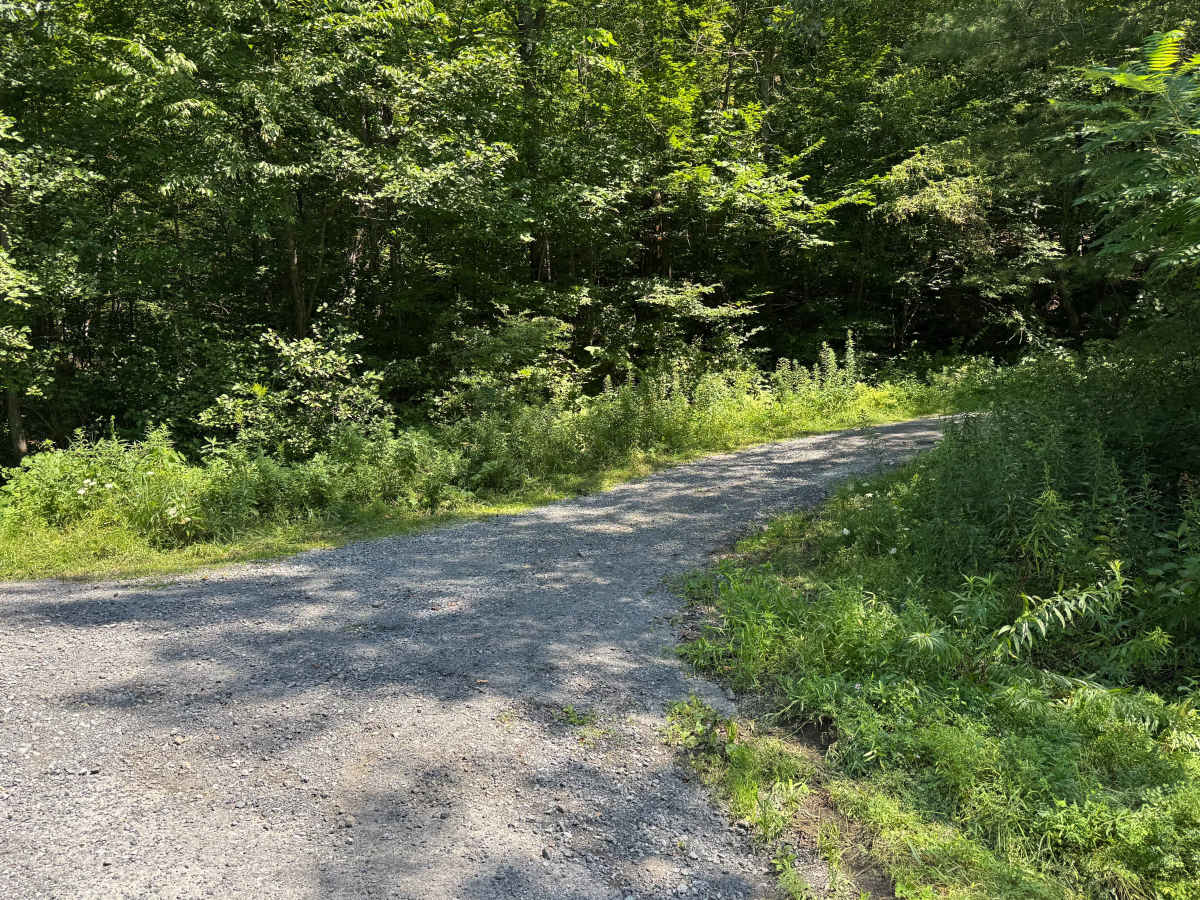 Dave Brown Mountain Road photo 3
