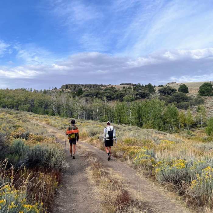 Near Hart Campground to Guano Campground