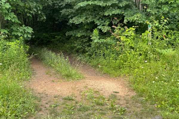 Trail 16