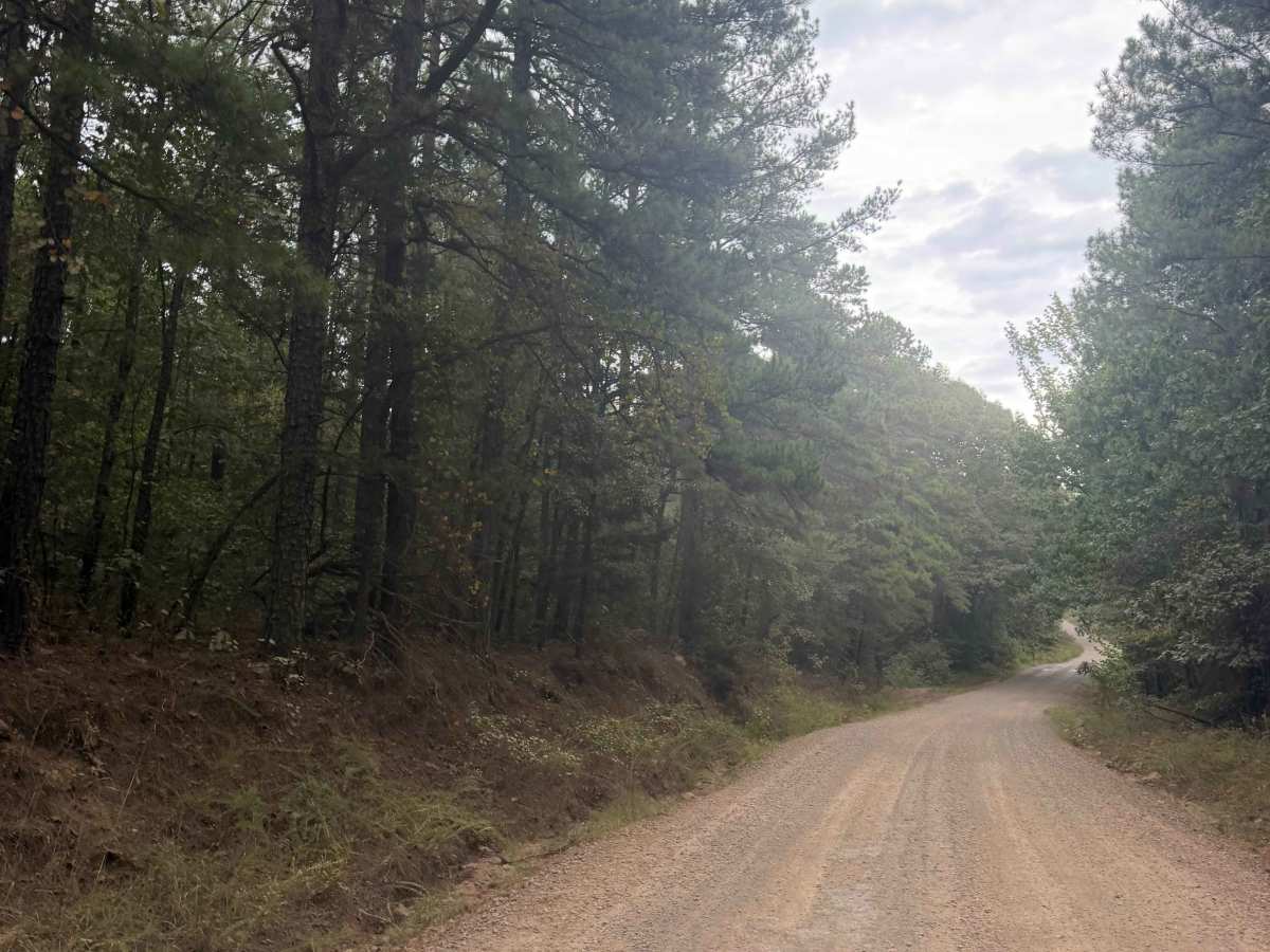 Trail 86 photo 2